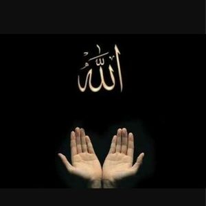 Meet your Posher, Noura